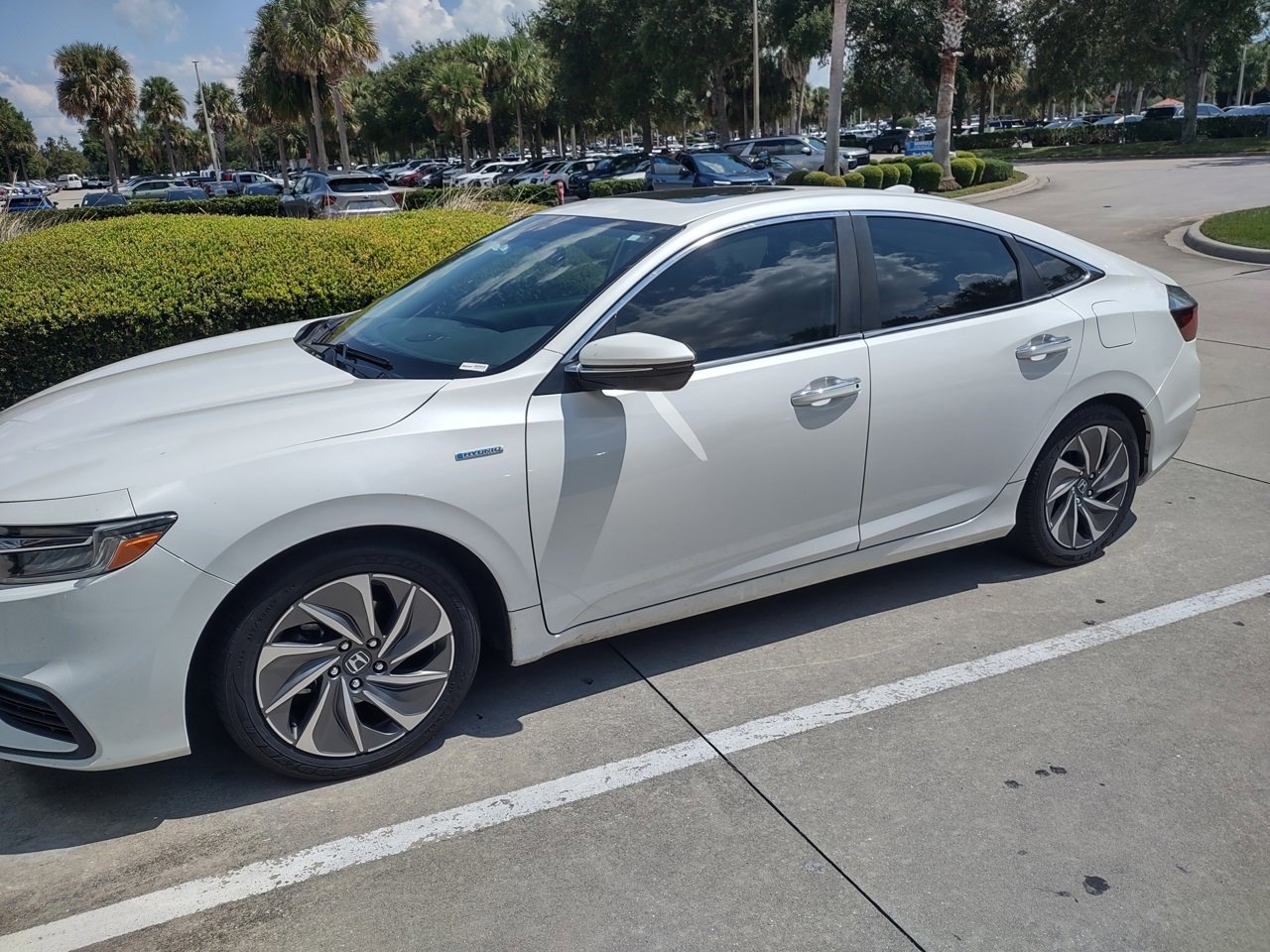 2019 Honda Insight