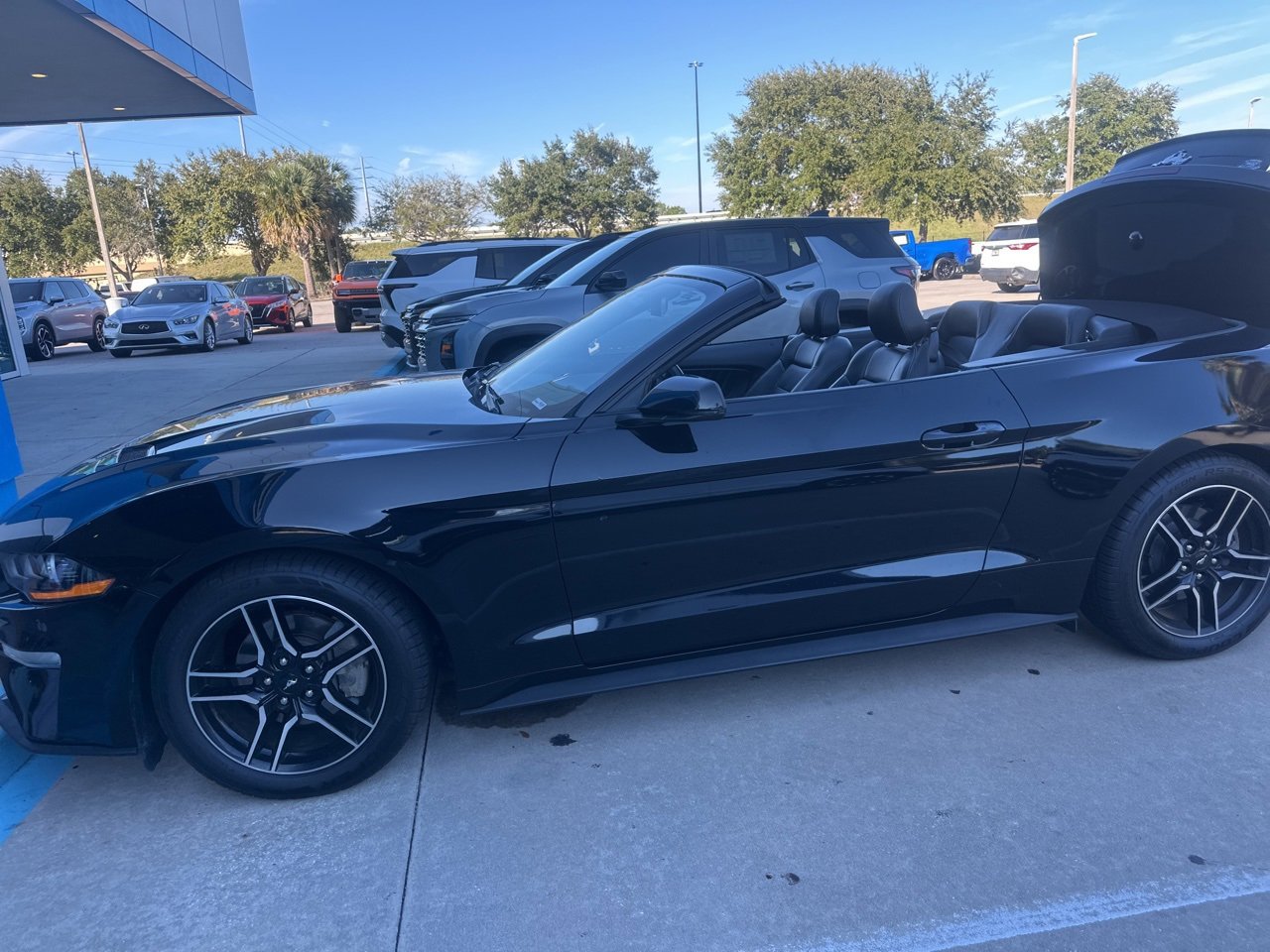 2019 Ford Mustang EcoBoost Convertible photo 2