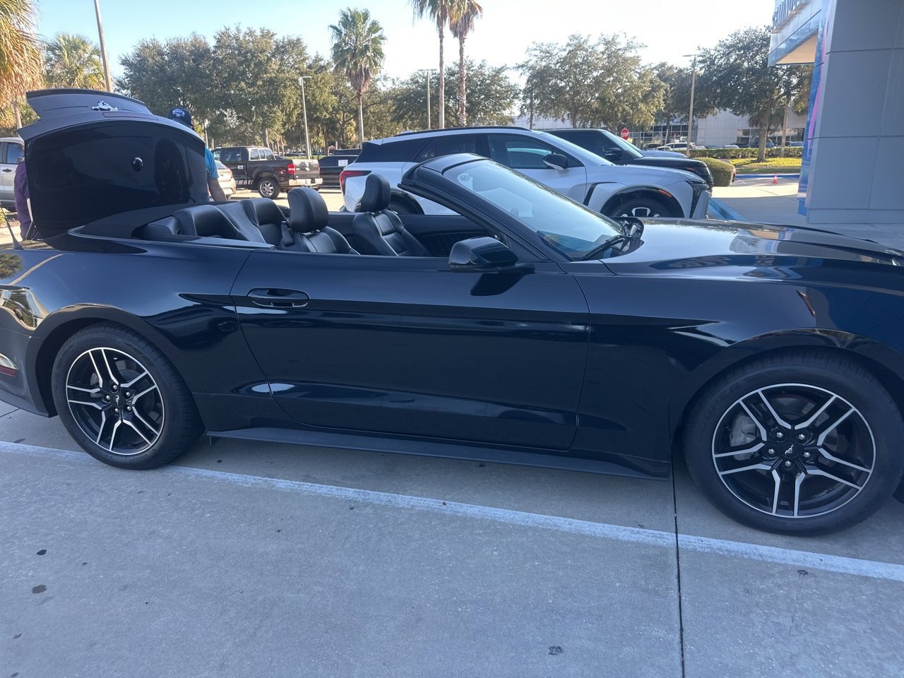 2019 Ford Mustang EcoBoost Convertible photo 3