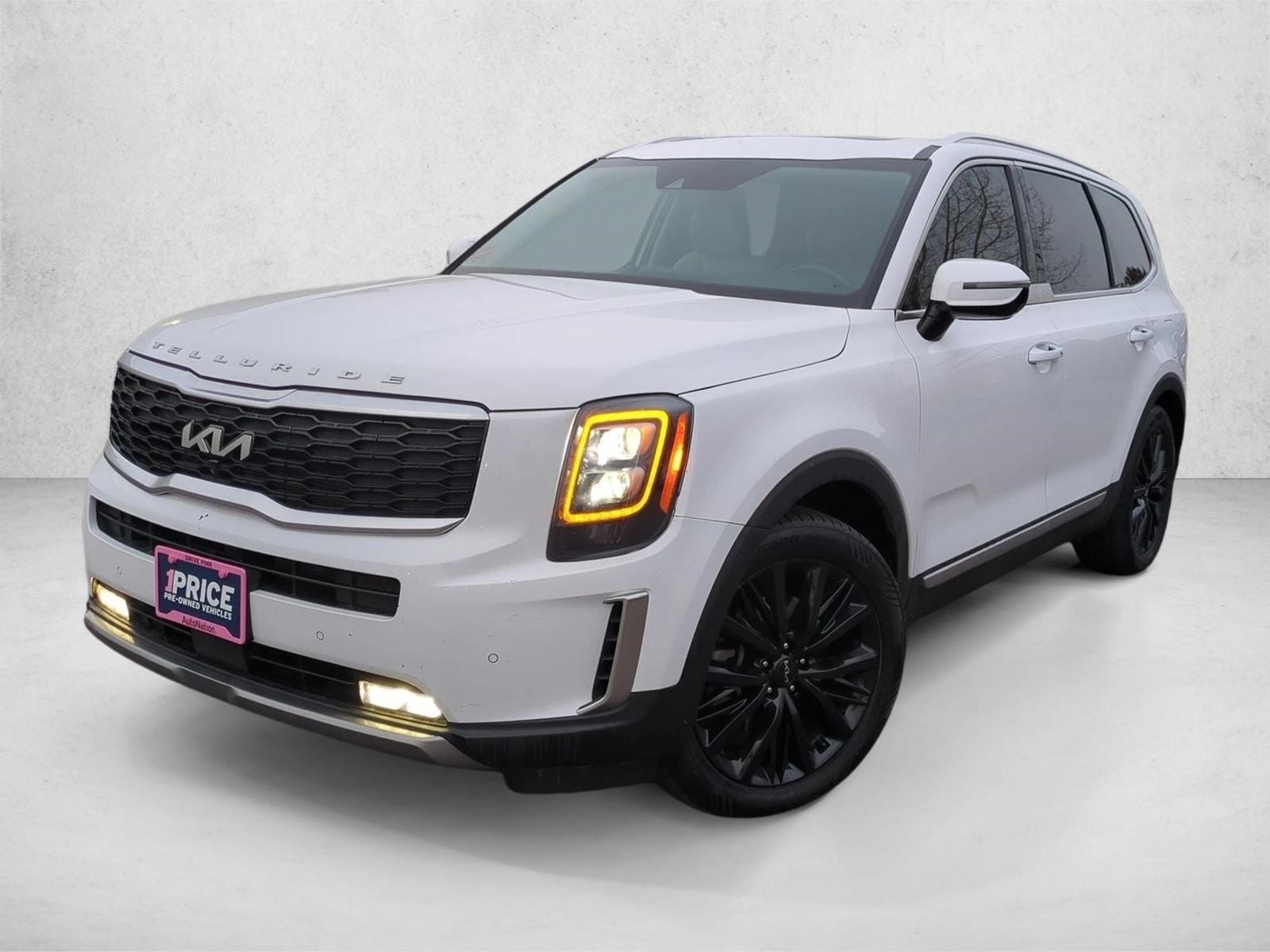 2022 Kia Telluride SX's photo