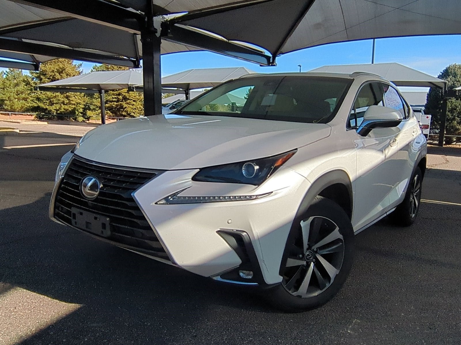 2018 Lexus NX 300's photo