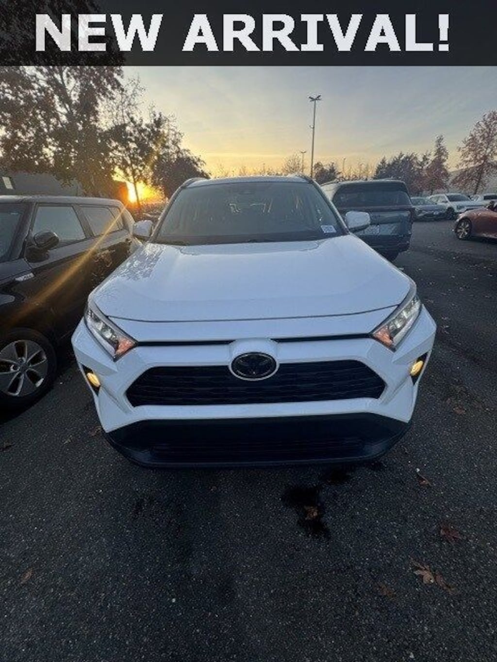Used 2019 Toyota RAV4 XLE Premium SUV
