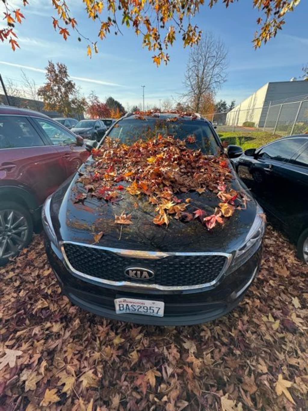 Used 2017 Kia Sorento 3.3L LX SUV