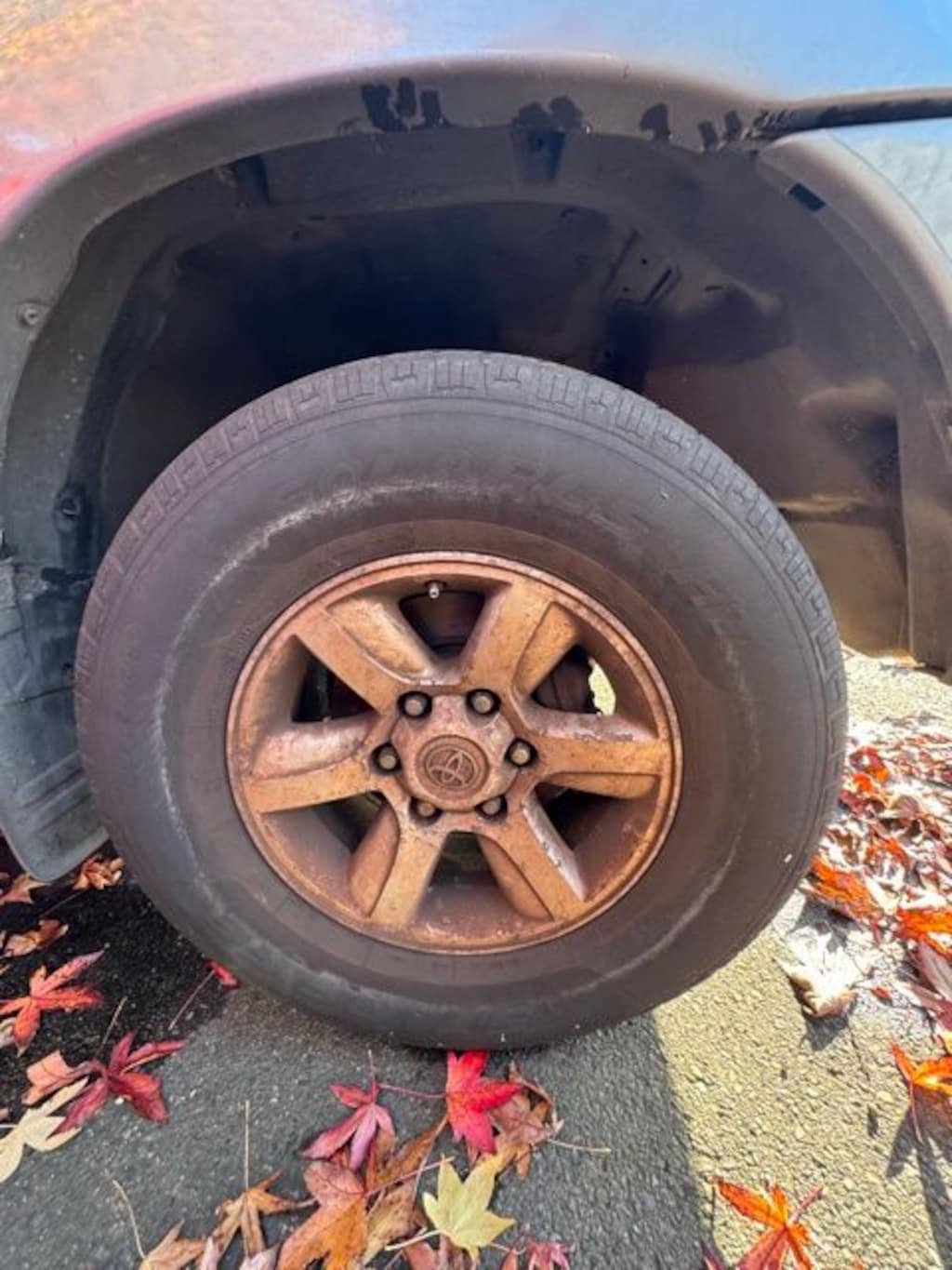 Used 2005 Toyota Sequoia SR5 V8 SUV