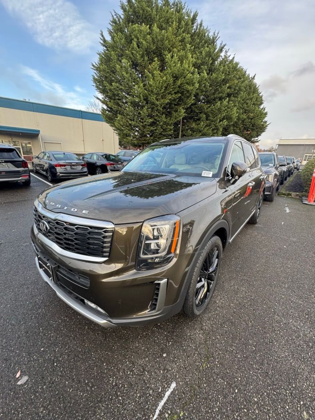 Certified 2021 Kia Telluride SX SUV