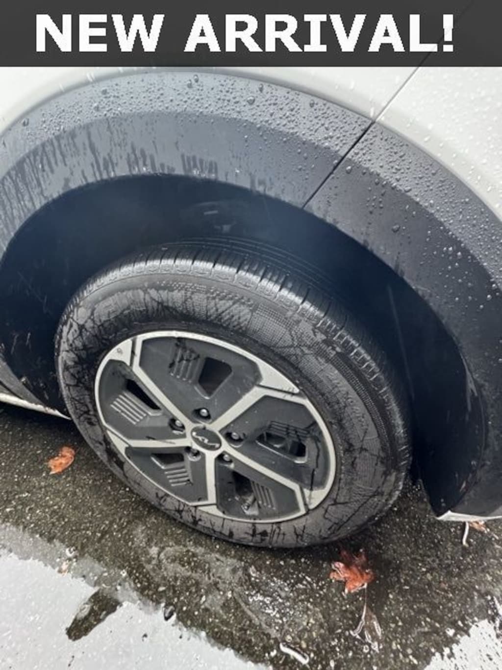 Certified 2025 Kia Niro LX SUV