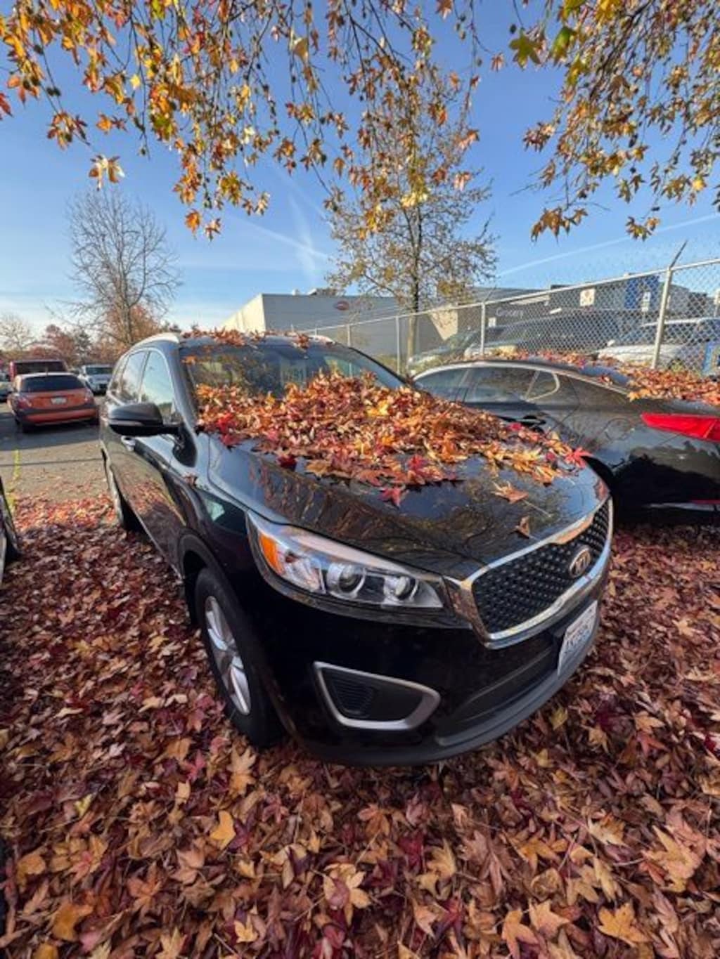 Used 2017 Kia Sorento 3.3L LX SUV