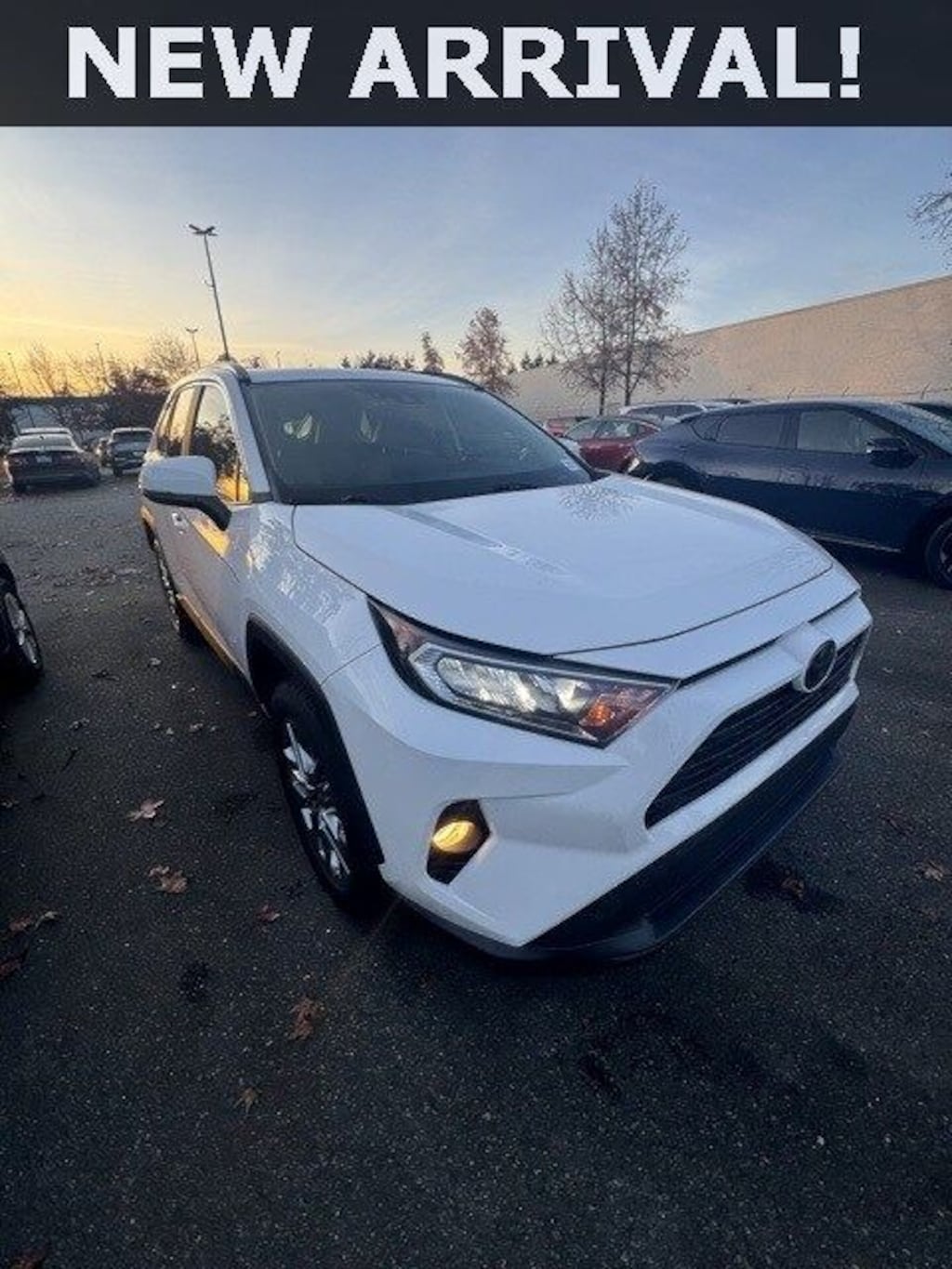 Used 2019 Toyota RAV4 XLE Premium SUV