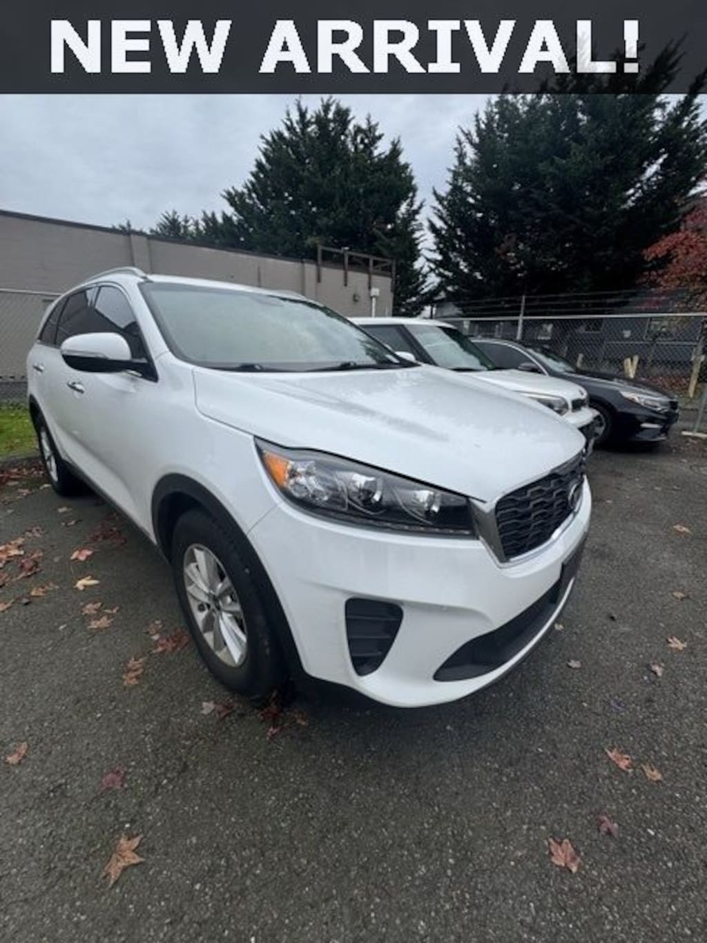 Used 2019 Kia Sorento 2.4L LX SUV