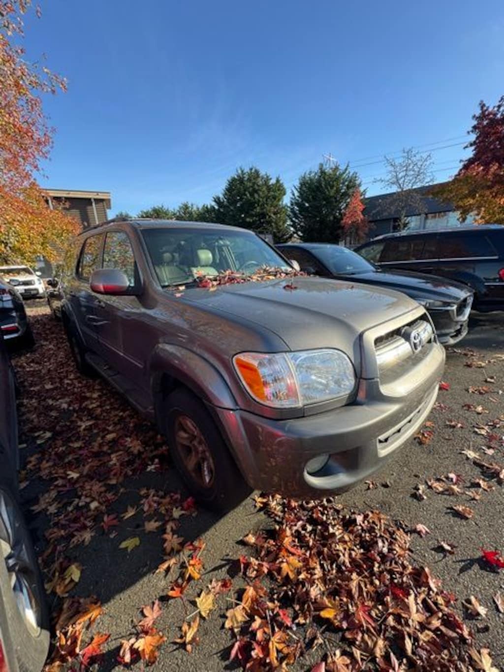 Used 2005 Toyota Sequoia SR5 V8 SUV