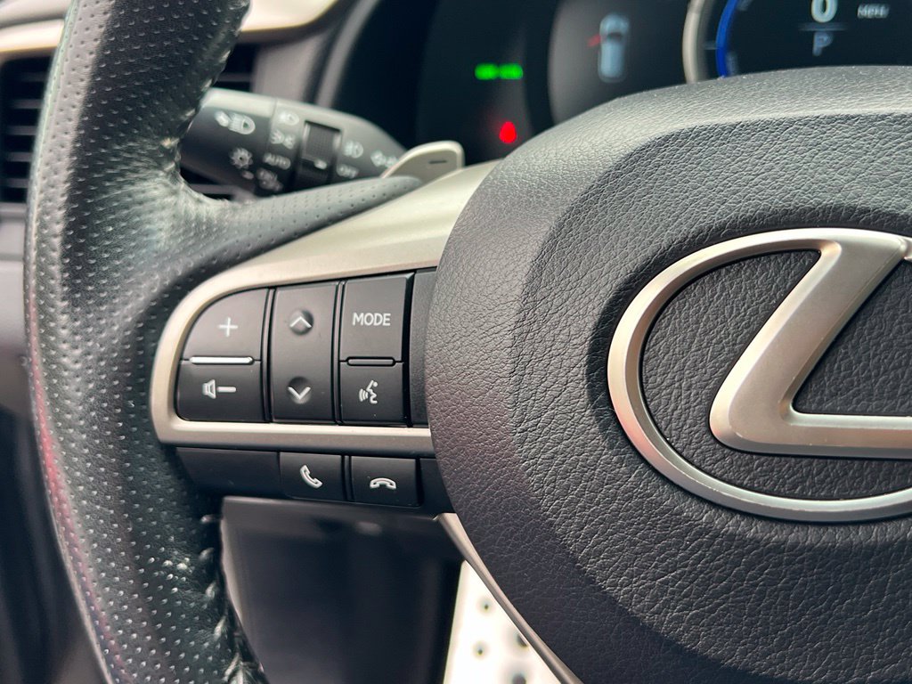 2019 Lexus RX Hybrid 450h F SPORT - Photo 21