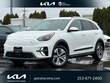  Kia Niro EV