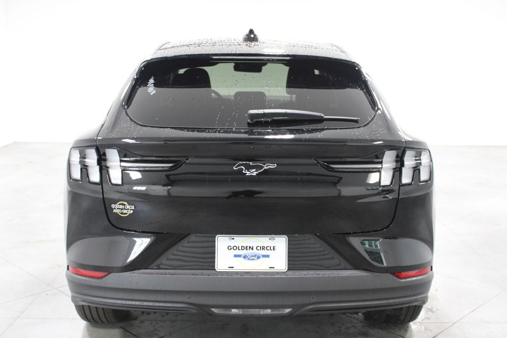 2025 Ford Mustang Mach-E Premium - Photo 10