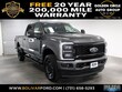 Ford F-250SD