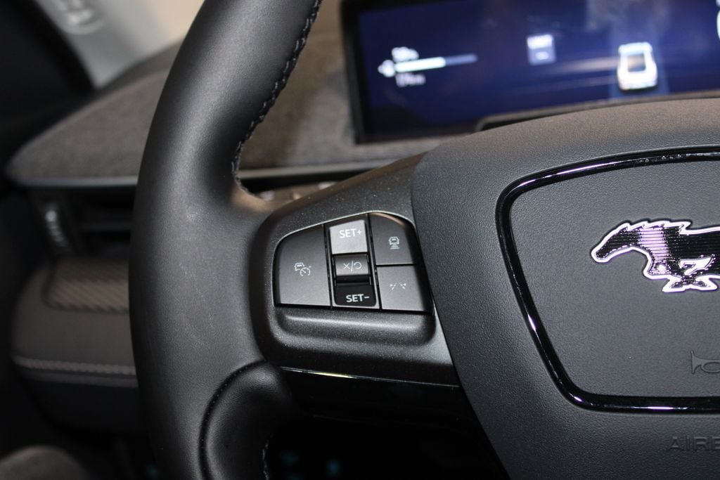 2025 Ford Mustang Mach-E Premium - Photo 38