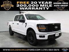 2025 Ford F-150 STX Truck