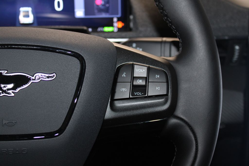 2025 Ford Mustang Mach-E Premium - Photo 39