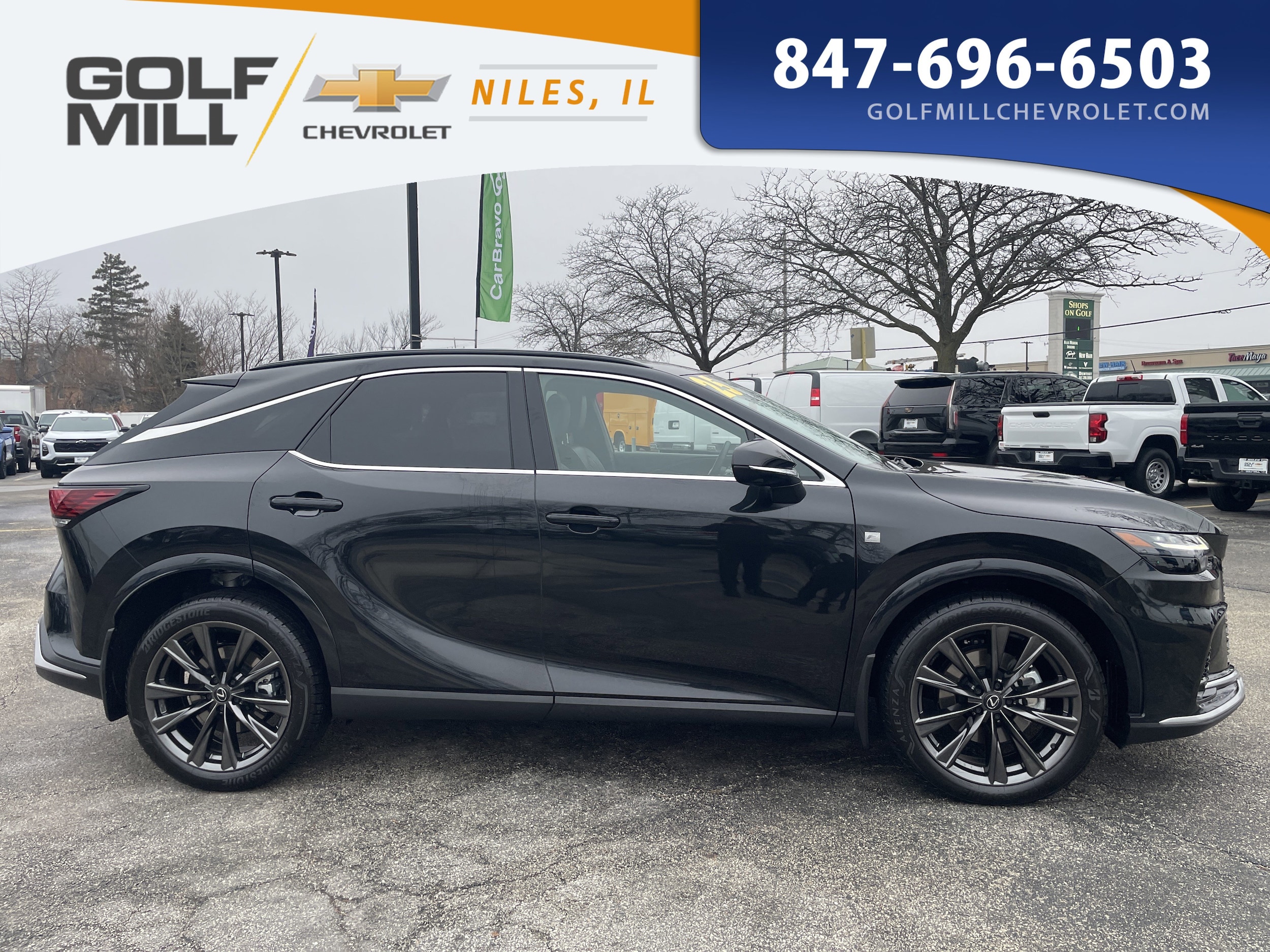 2025 LEXUS RX - Image 6