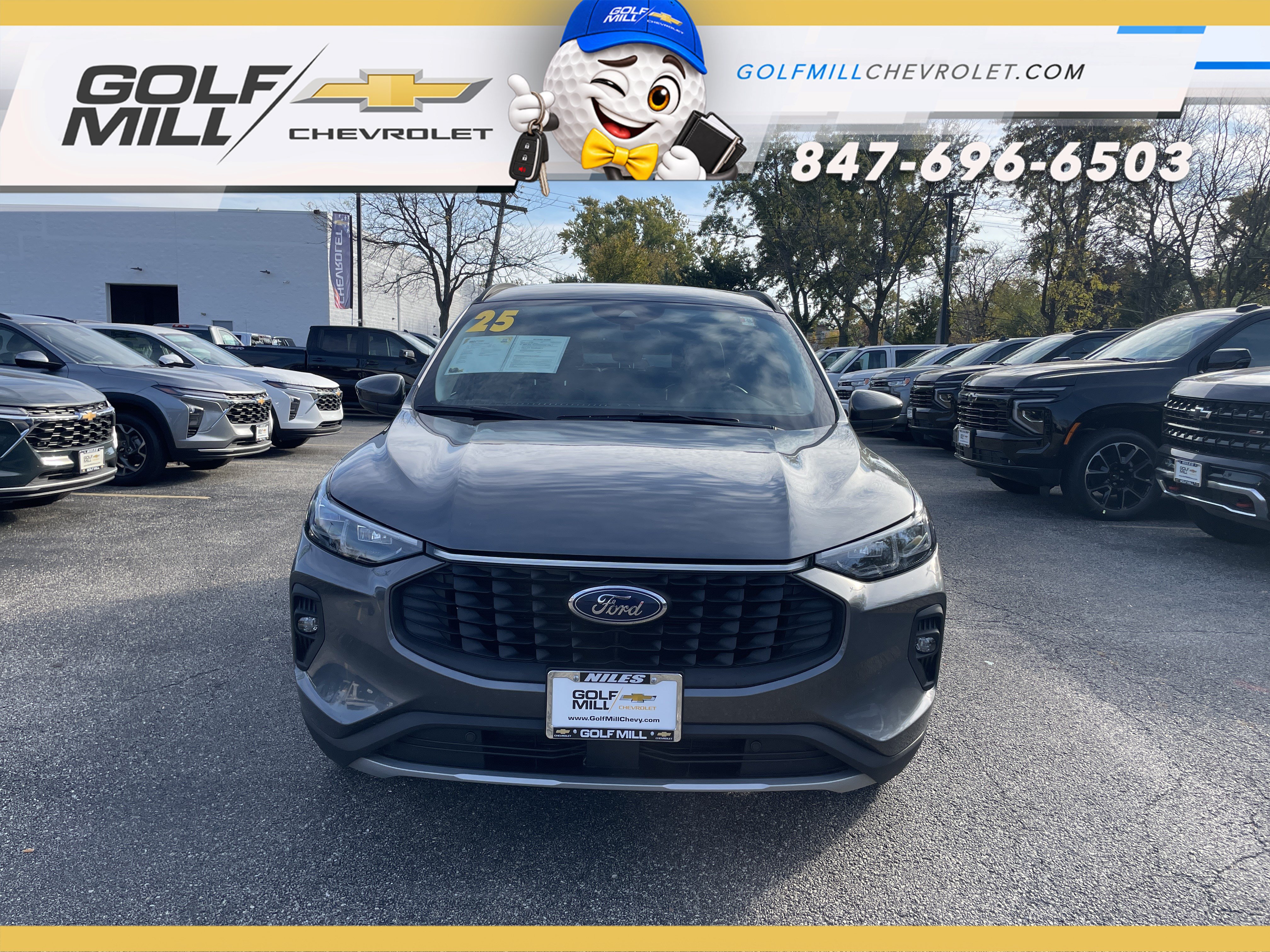 Vehicle thumbnail
