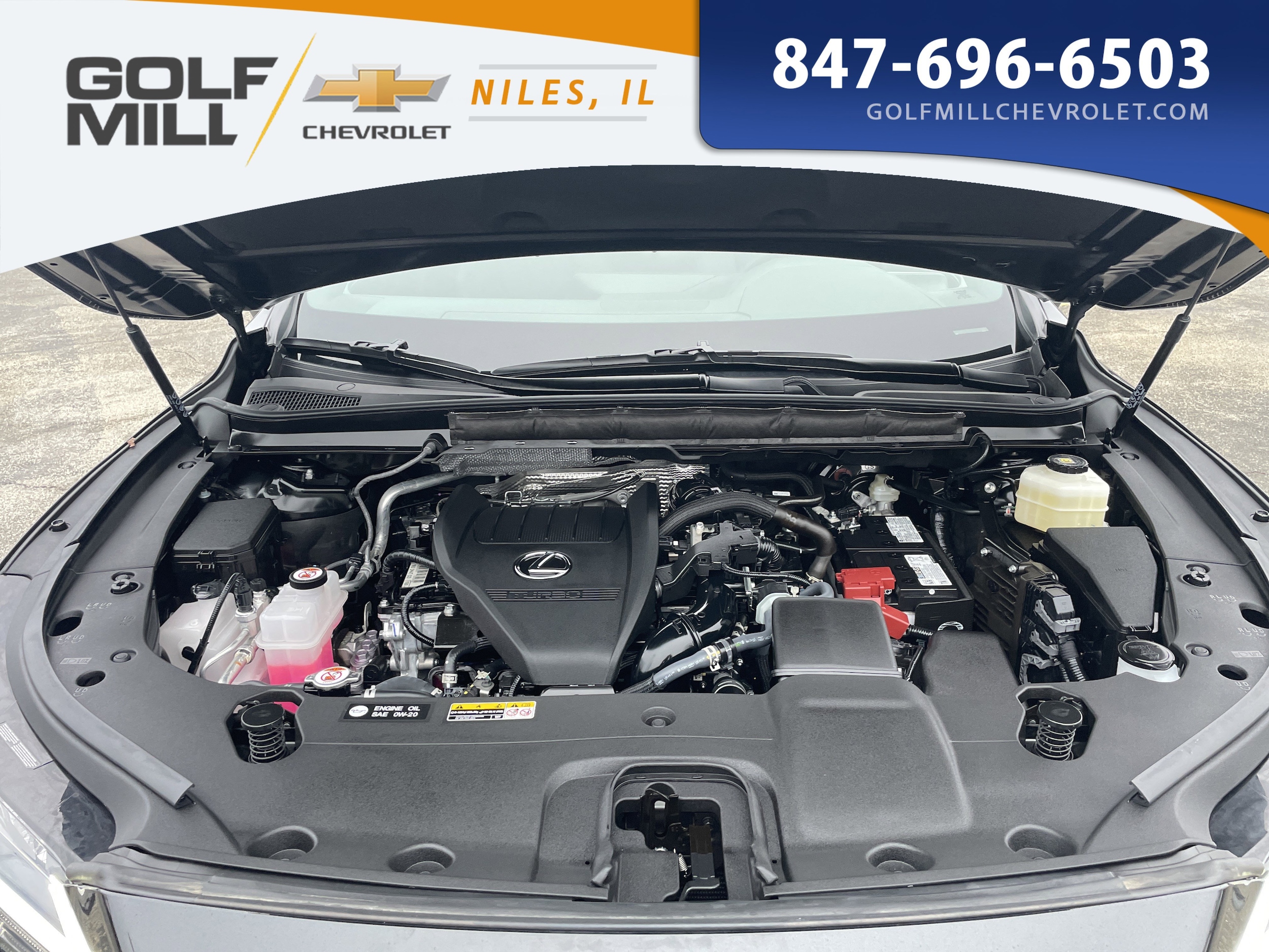 2025 LEXUS RX - Image 11