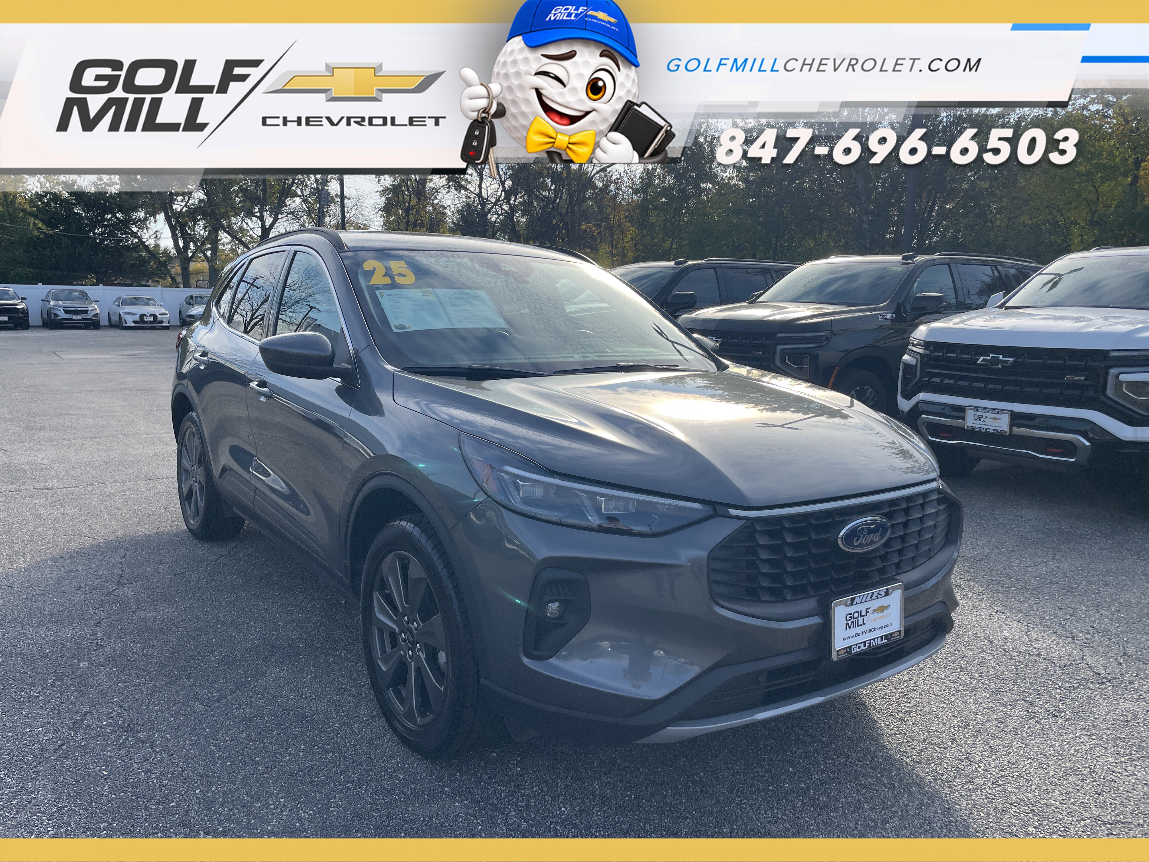 Vehicle thumbnail