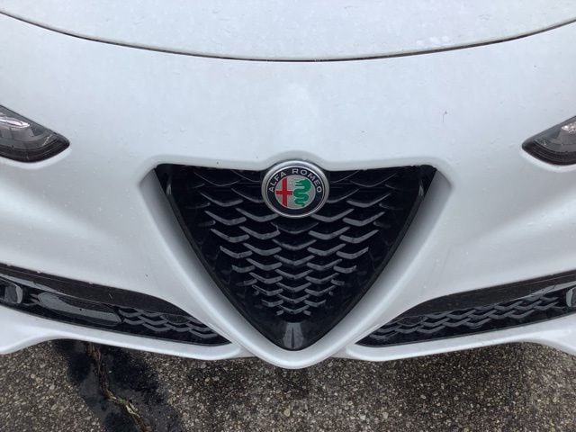 2026 Alfa Romeo Stelvio Base - Photo 9