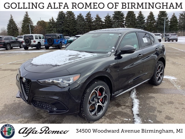 2025 Alfa Romeo Stelvio Base's photo
