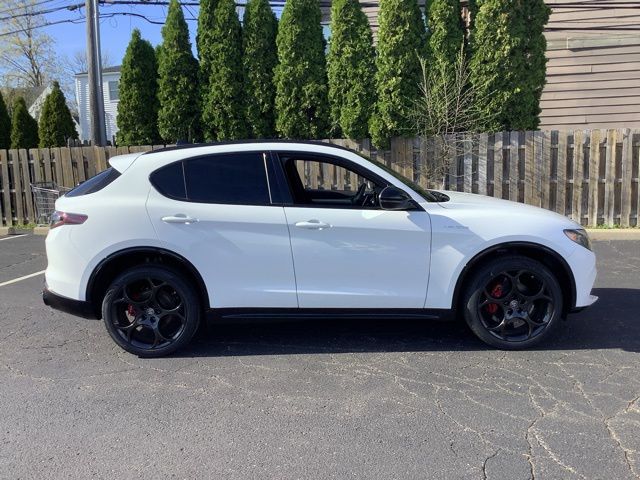 2026 Alfa Romeo Stelvio Base - Photo 6