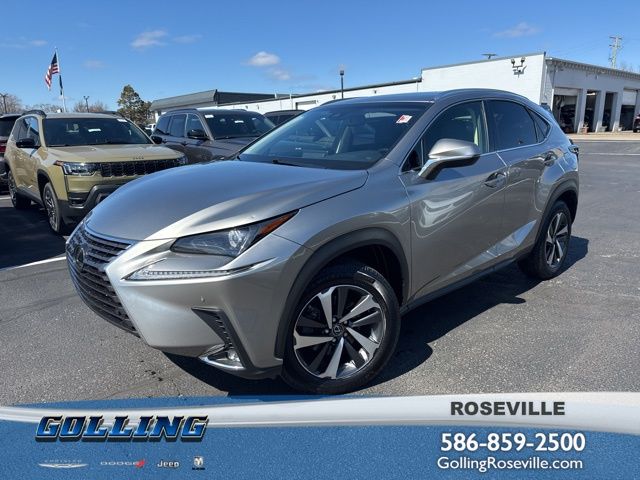 2019 Lexus NX 350 300 AWD's photo