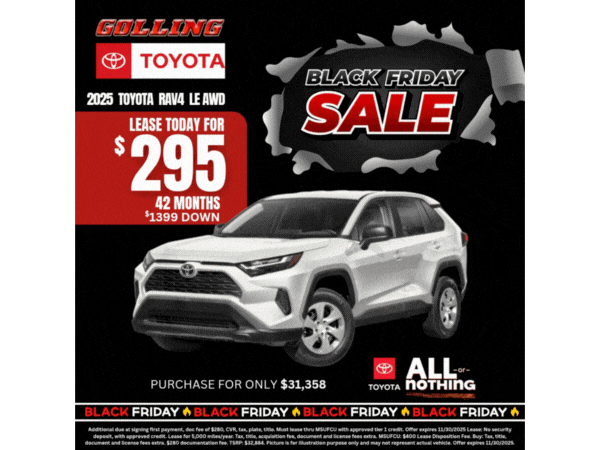 2025 Toyota RAV4 LE AWD