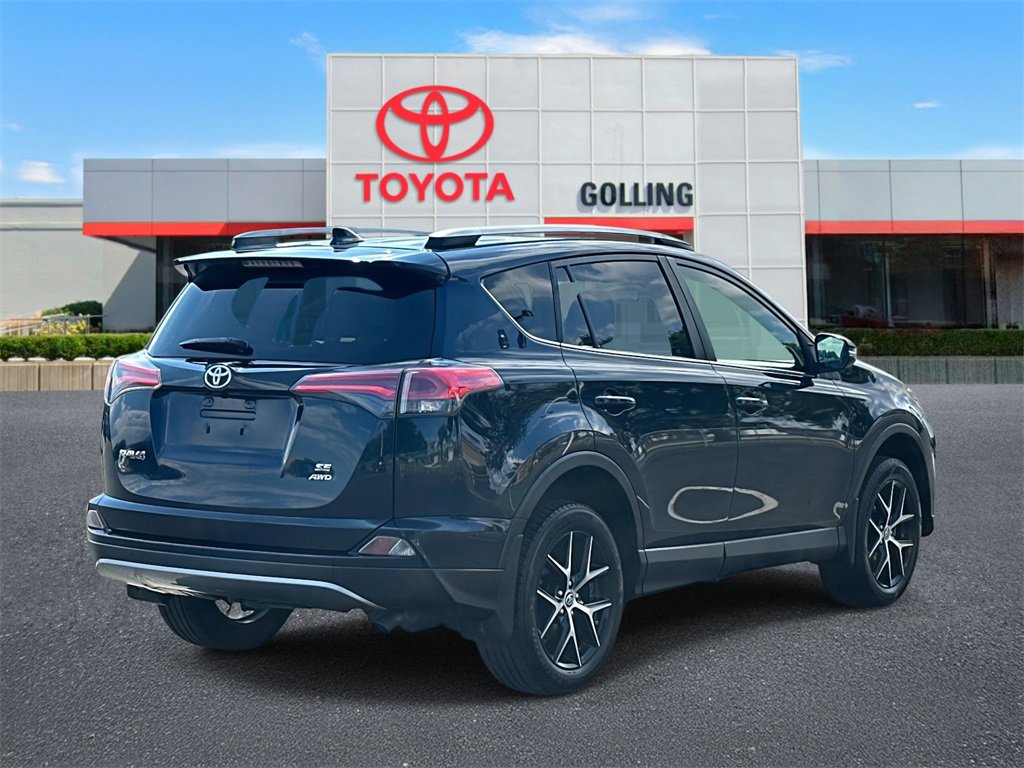 2017 Toyota RAV4 SE photo 3
