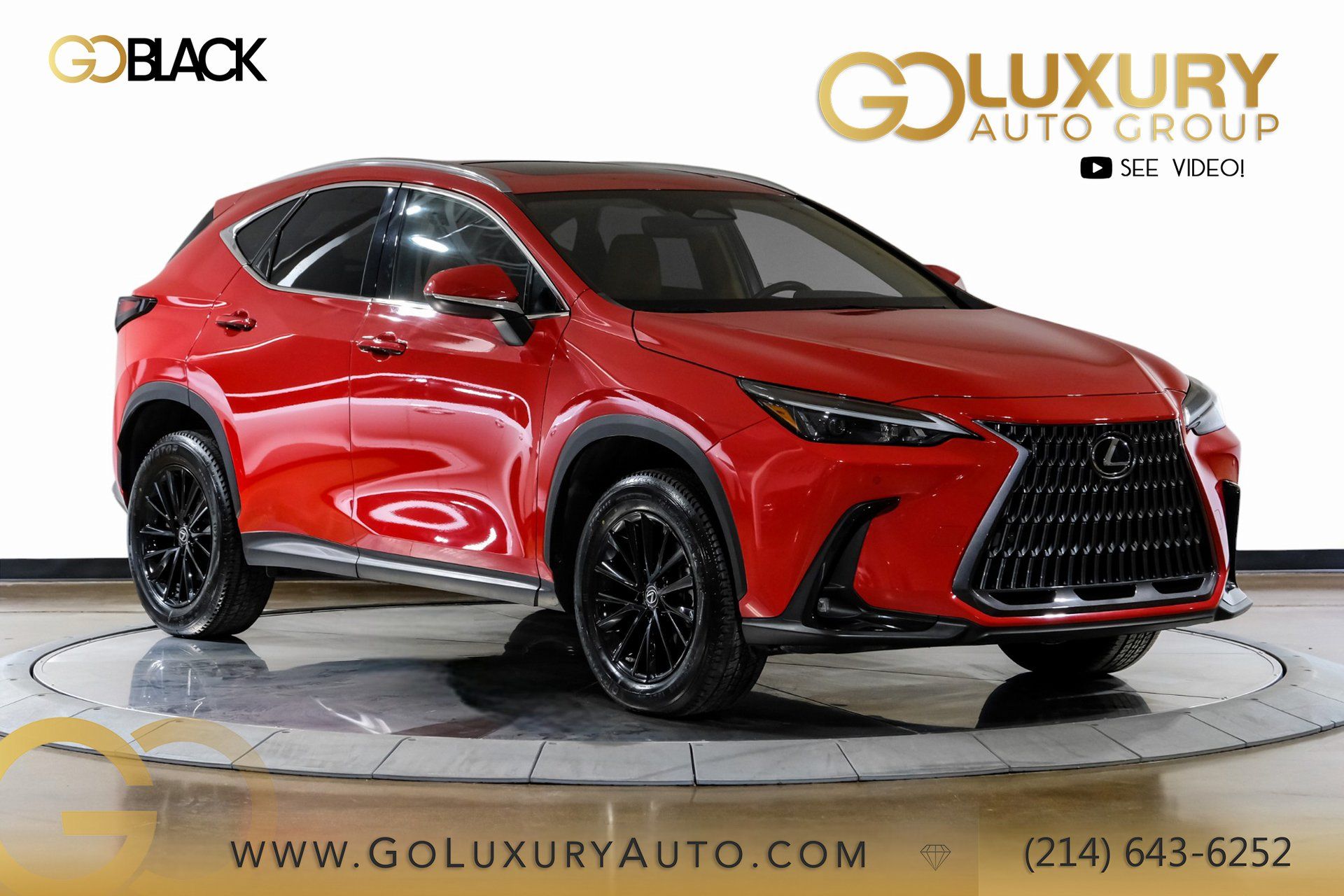 2023 Lexus NX 350's photo