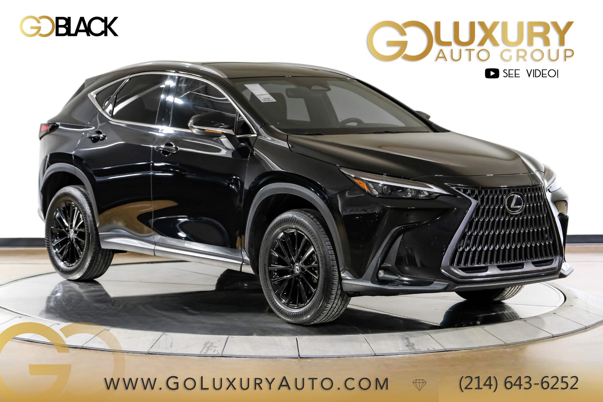 2023 Lexus NX 250's photo