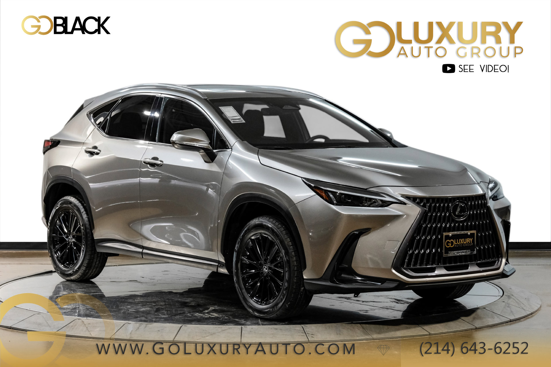 2024 Lexus NX