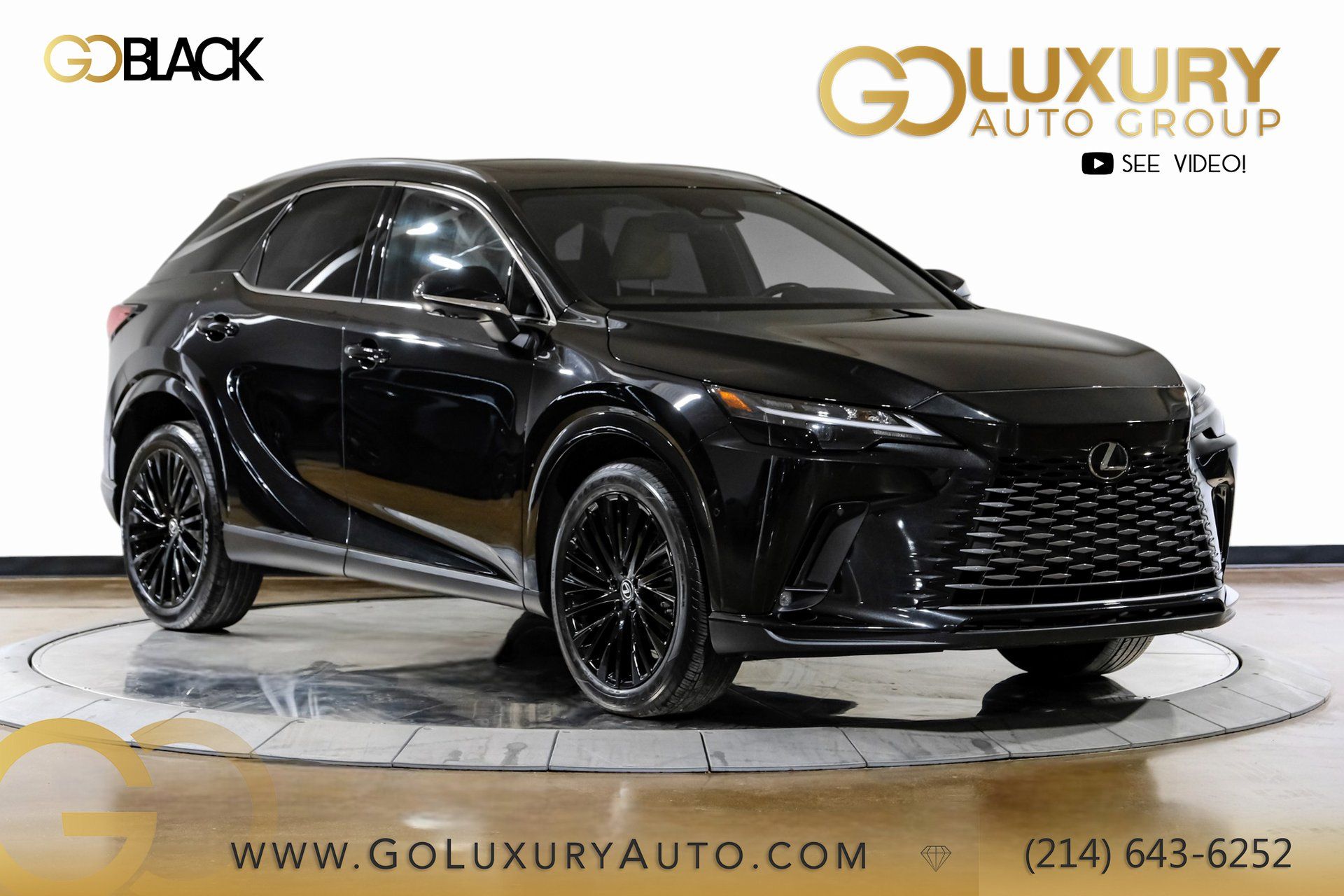 2024 Lexus RX 350's photo