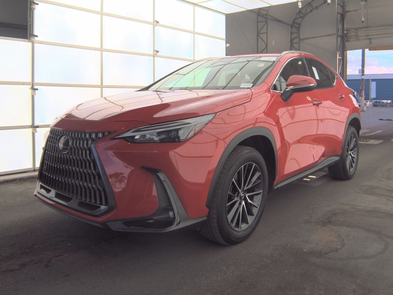 2024 Lexus NX 250's photo