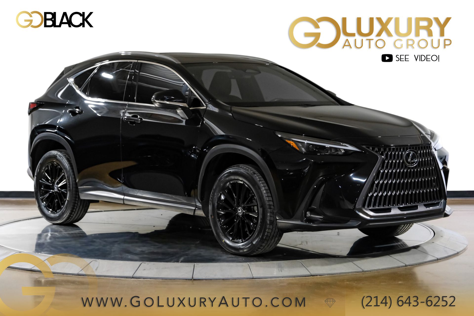 2024 Lexus NX 250's photo