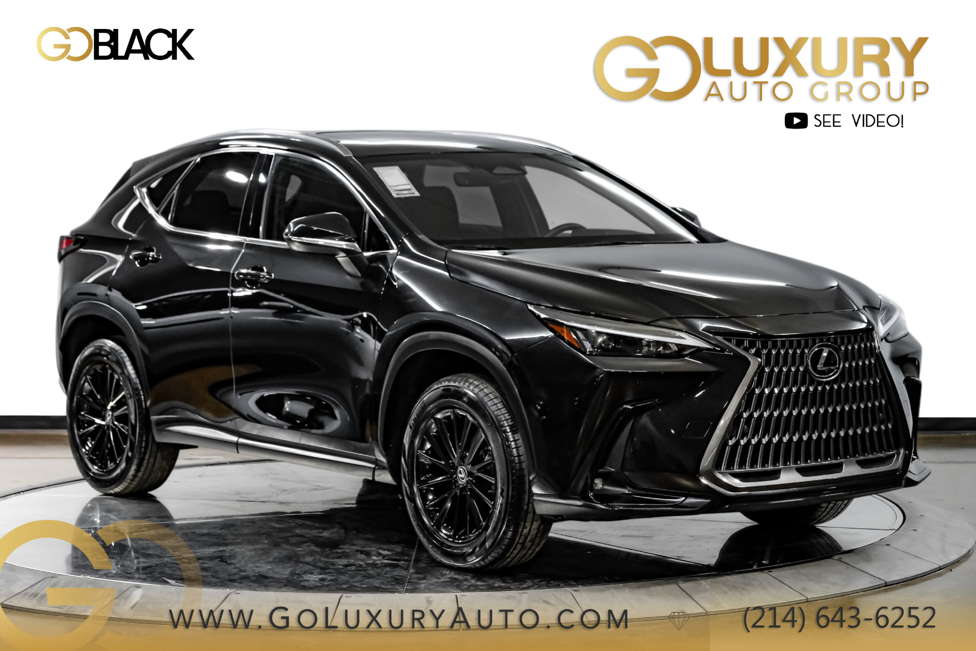  LEXUS NX 250