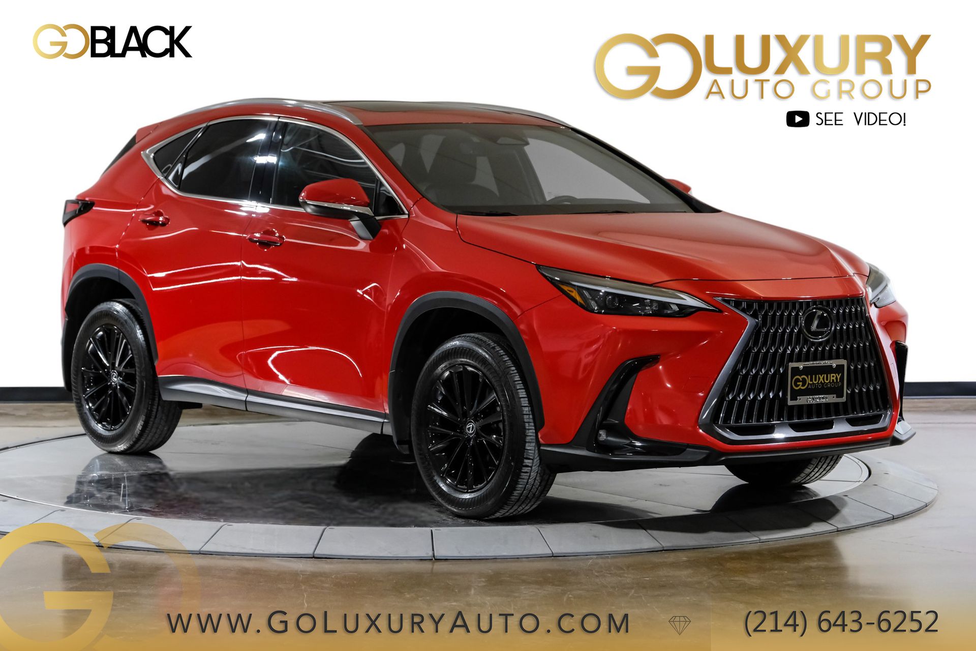 2024 Lexus NX 250's photo