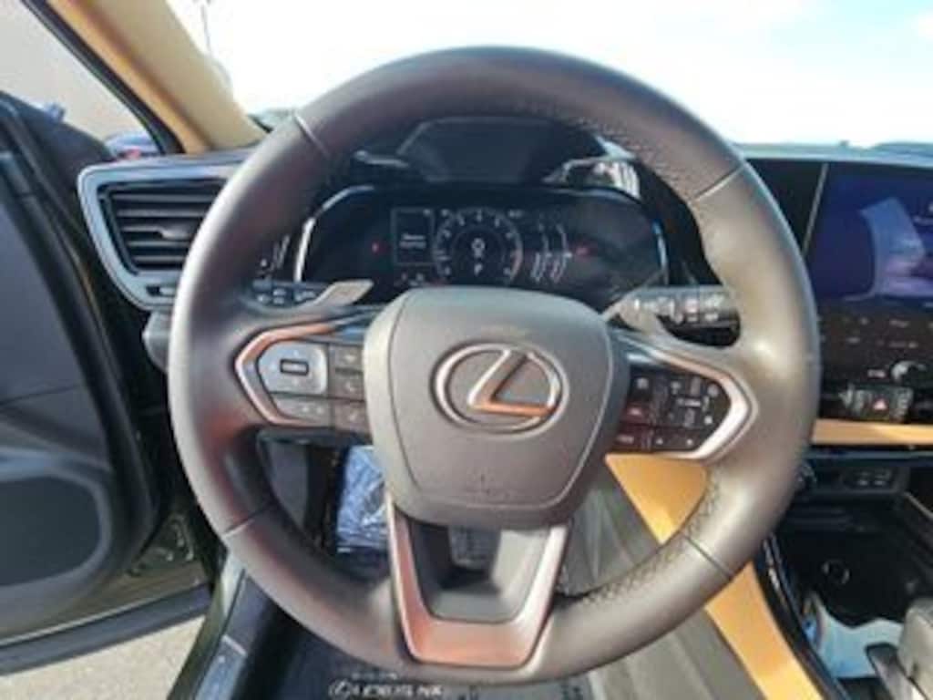 Used 2024 Lexus NX 250 Premium SUV