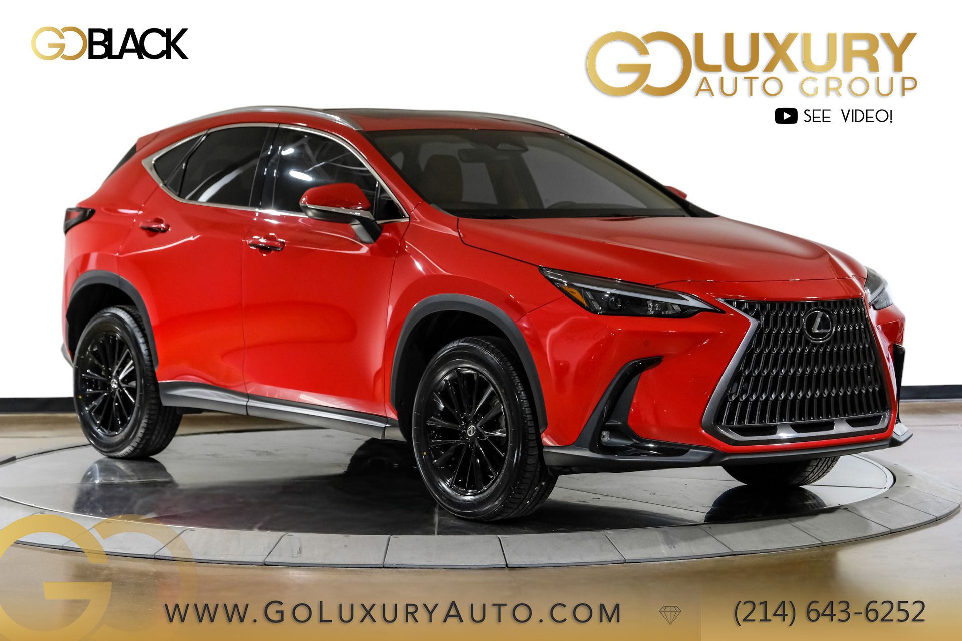 2024 Lexus NX 250