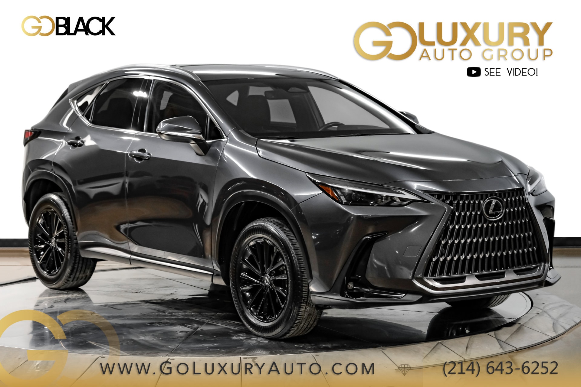 2025 Lexus NX