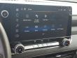 2024 Chevrolet Colorado WT Truck Crew Cab