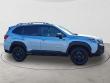 2022 Subaru Forester Wilderness SUV