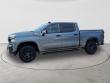 2021 Chevrolet Silverado 1500 LT Trail Boss Truck Crew Cab