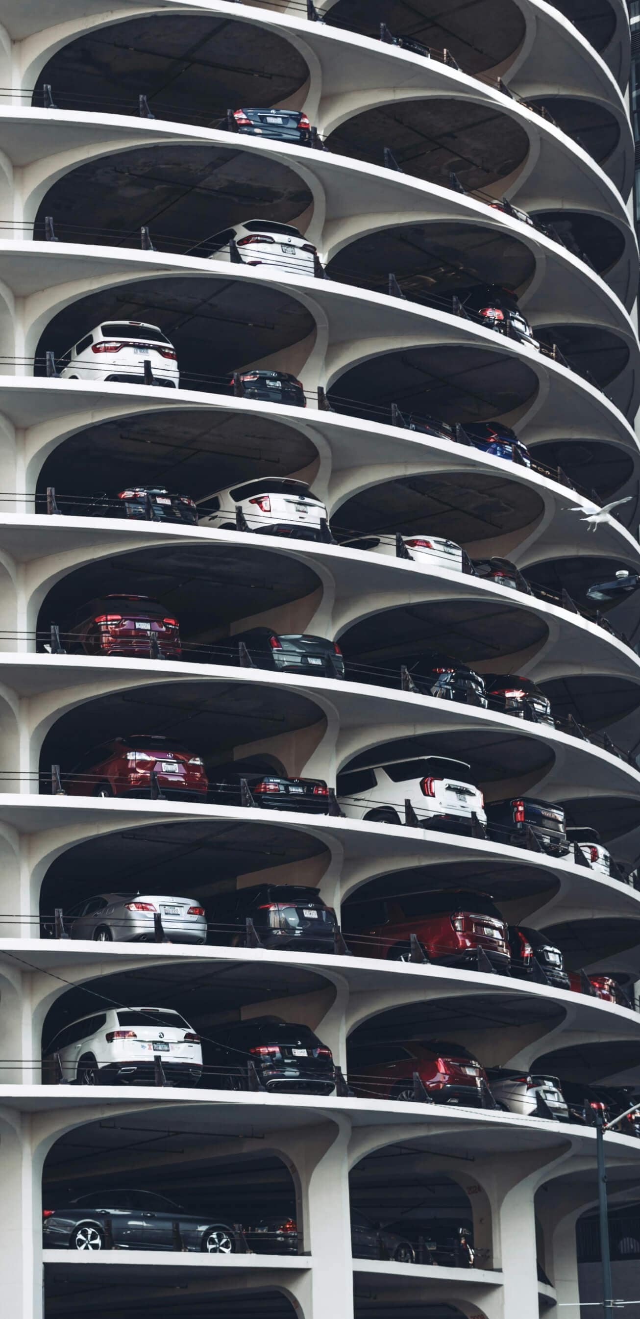 Discover High-Value New and Pre-Owned Vehicles at Our Automotive Group