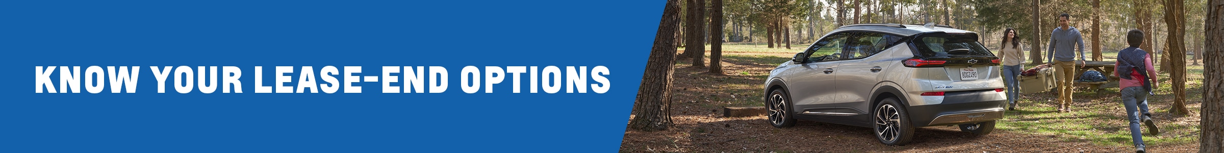 Instructions for lease-end decisions in Maine