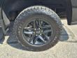 2021 Chevrolet Silverado 1500 LT Trail Boss Truck Crew Cab