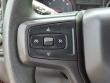 2020 Chevrolet Silverado 1500 Custom Trail Boss Truck Crew Cab