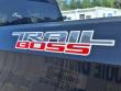 2021 Chevrolet Silverado 1500 LT Trail Boss Truck Crew Cab